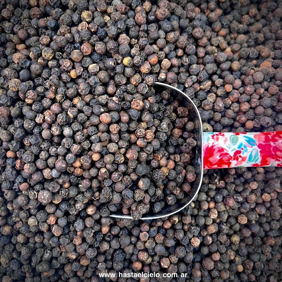 PIMIENTA NEGRA EN GRANO X 100GR