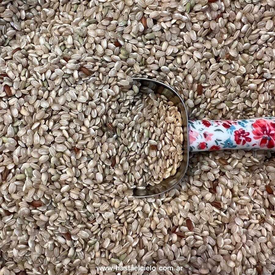 ARROZ YAMANI X 500GR