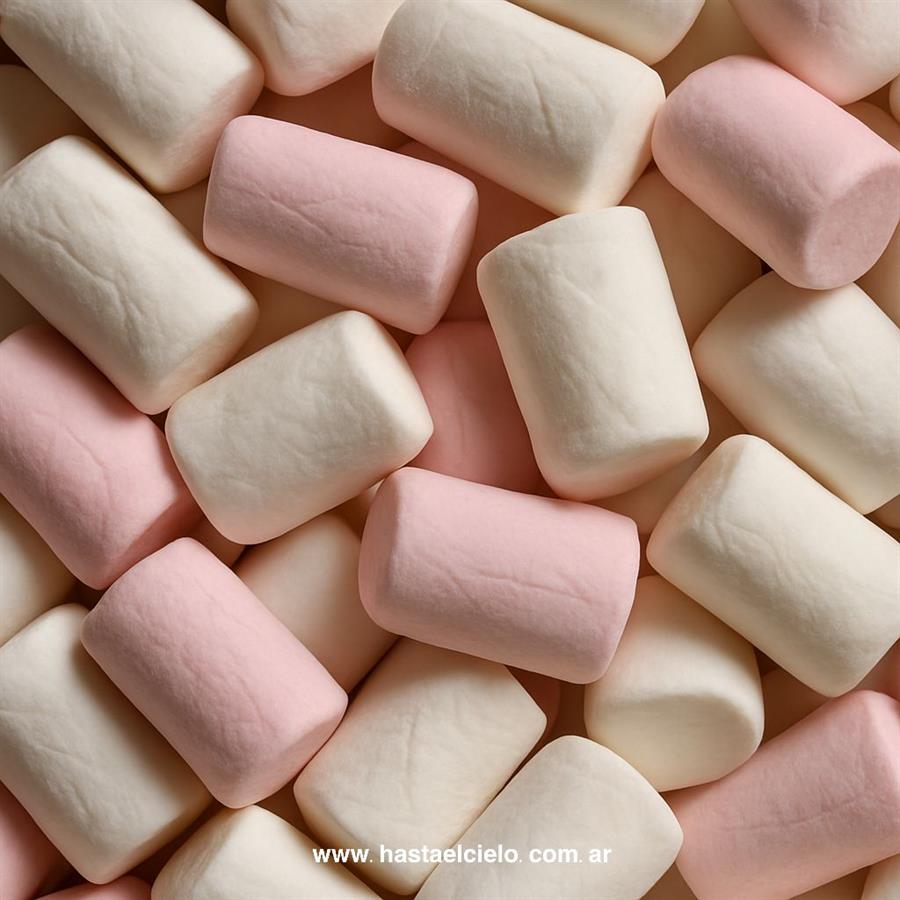 MALVAVISCOS TRADICIONAL ROSA Y BLANCO