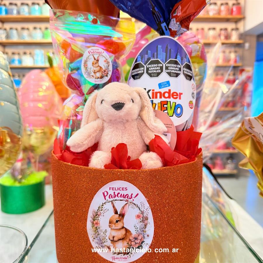 ARREGLO KINDER PLAYMOVIL