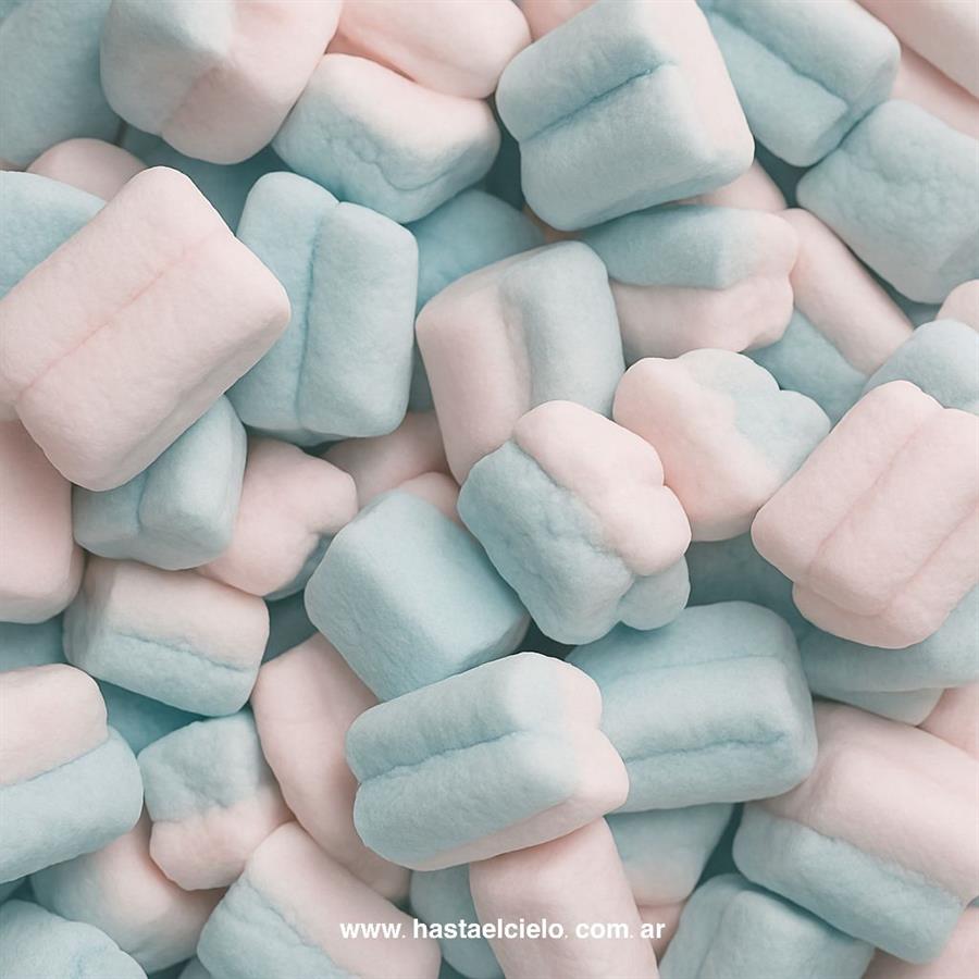 GONGYS MALVAVISCOS NUBE X200GR