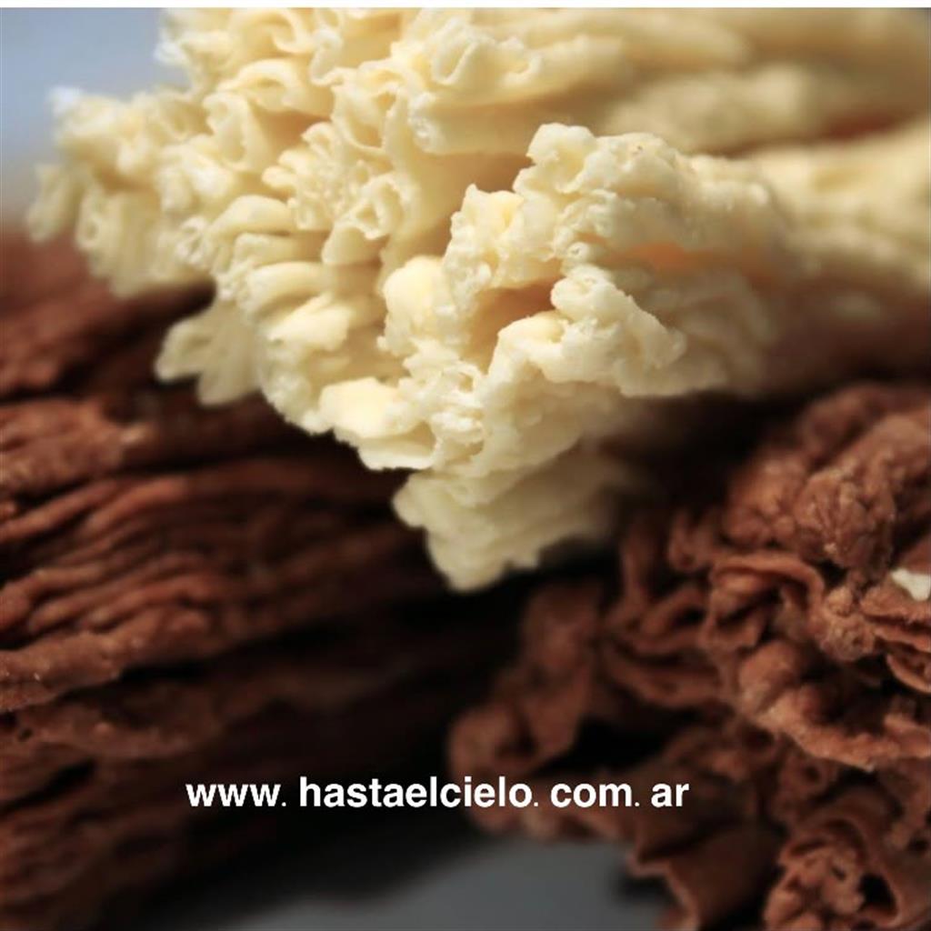 CAJA CHOCOLATE EN RAMA PREMIUM X 180GR.