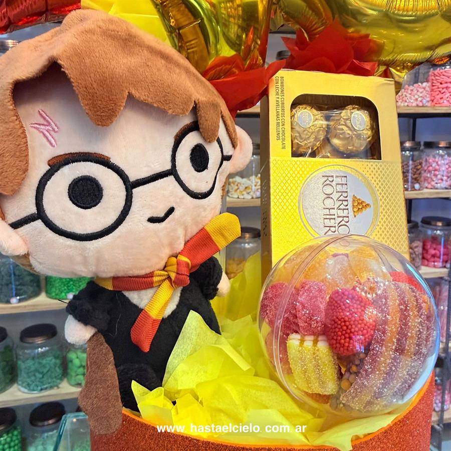 ARREGLO HARRY POTTER FERRERO