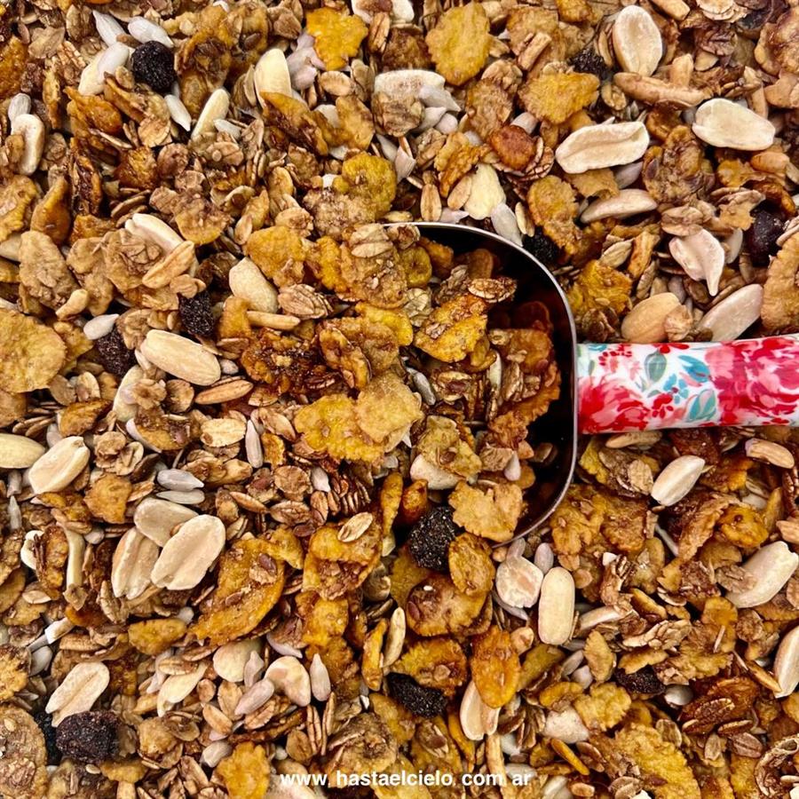 GRANOLA TRADICIONAL X 100GR
