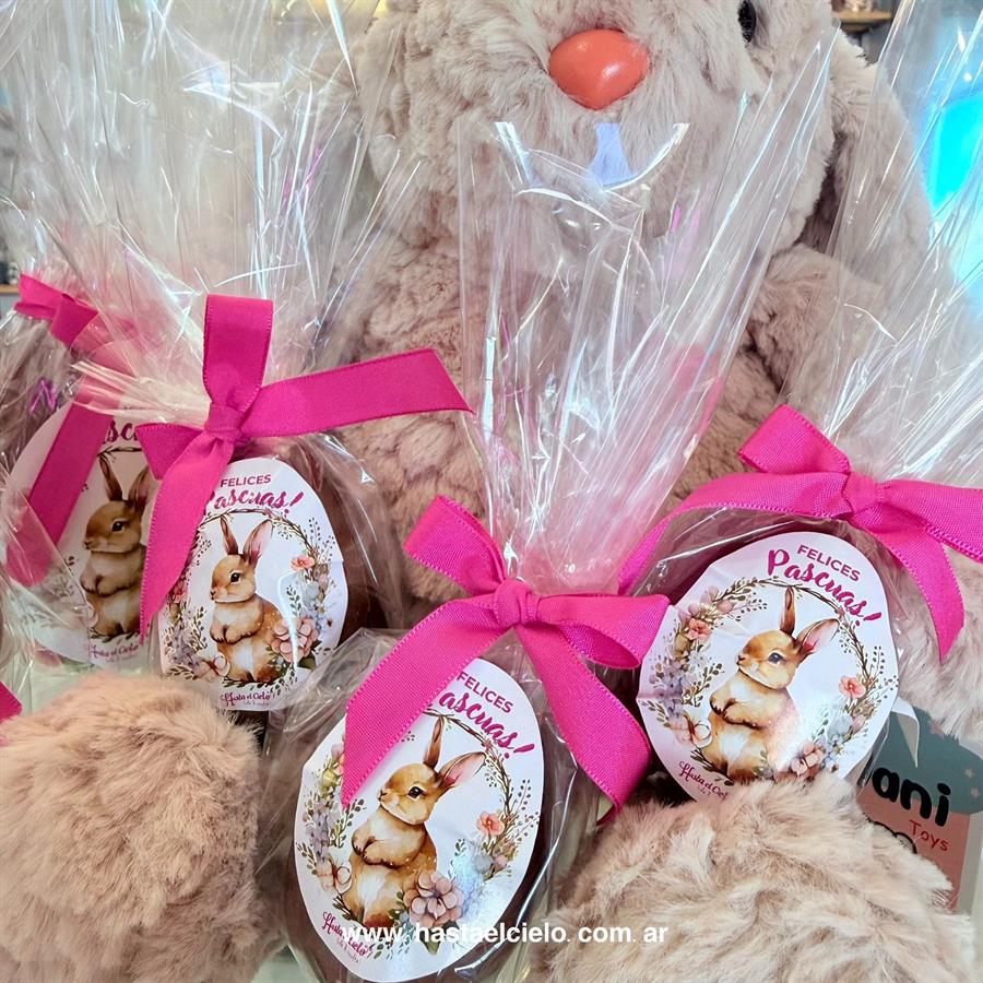 HUEVO DE CHOCOLATE RELLENO 30GR HEC