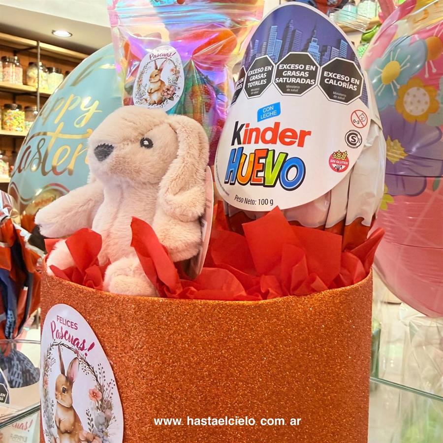 ARREGLO KINDER PLAYMOVIL